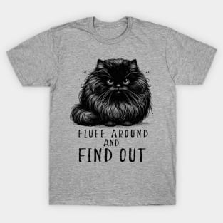 Fluff Around And Find Out Black Cat T-Shirt